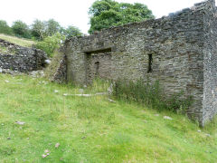 Pant Gwyn Farmstead, Nant Carn, Cwmcarn, July 2011